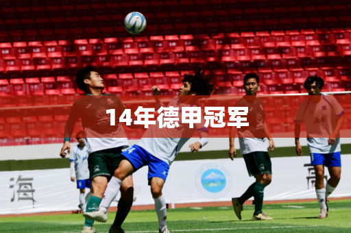14年德甲冠军 14年德甲冠军