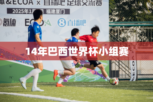 14年巴西世界杯小组赛 14年巴西世界杯小组赛