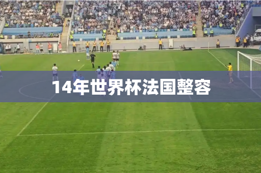 14年世界杯法国整容