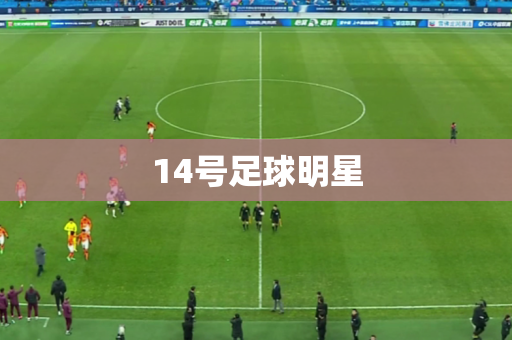 14号足球明星 14号足球明星