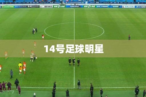 14号足球明星