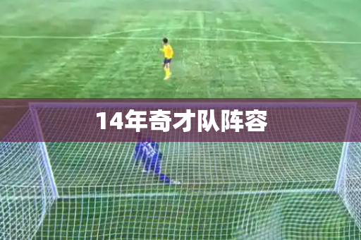 14年奇才队阵容 14年奇才队阵容