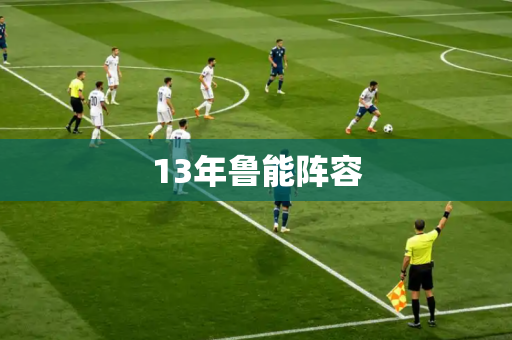 13年鲁能阵容 13年鲁能阵容