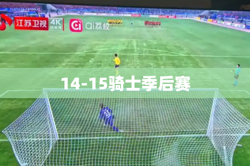 14-15骑士季后赛