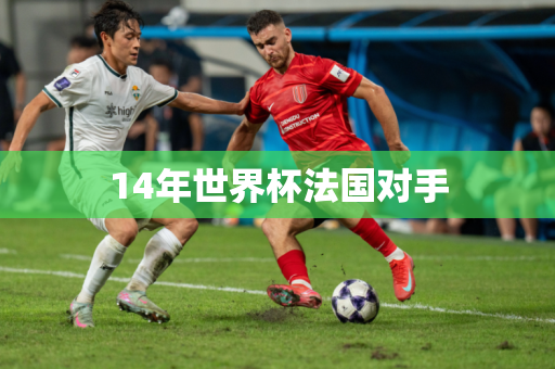 14年世界杯法国对手