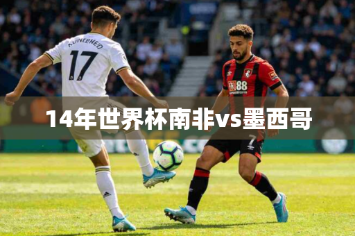 14年世界杯南非vs墨西哥