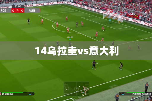 14乌拉圭vs意大利
