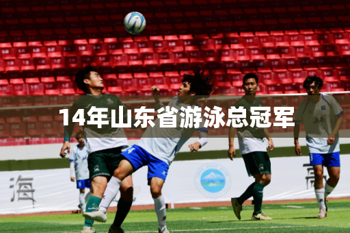 14年山东省游泳总冠军