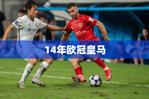 14年欧冠皇马 14年欧冠皇马
