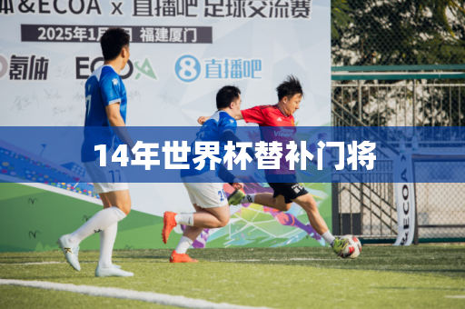 14年世界杯替补门将
