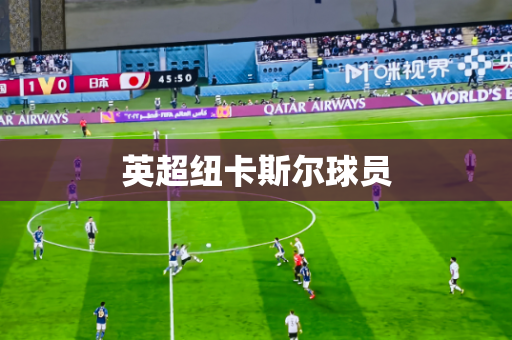 英超纽卡斯尔球员