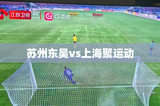 苏州东吴vs上海聚运动