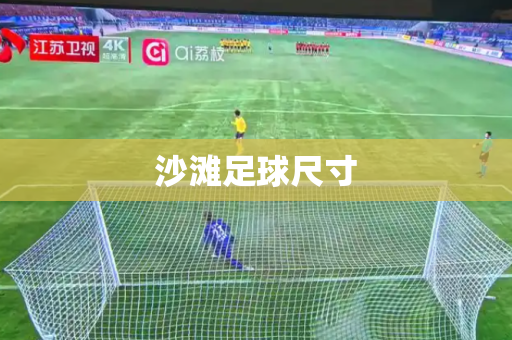 沙滩足球尺寸 沙滩足球尺寸