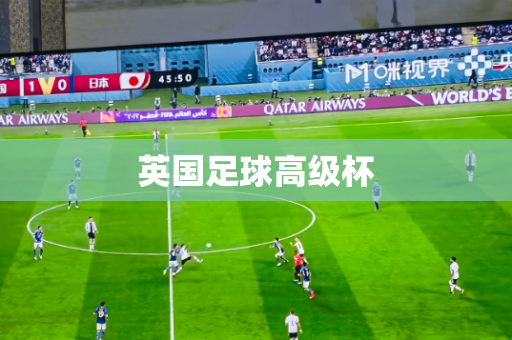 英国足球高级杯