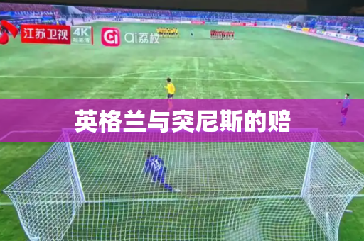 英格兰与突尼斯的赔 英格兰与突尼斯的赔