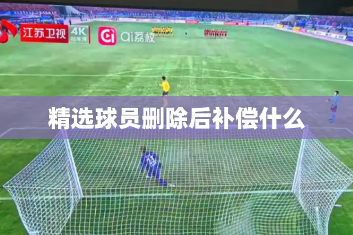 精选球员删除后补偿什么 精选球员删除后补偿什么