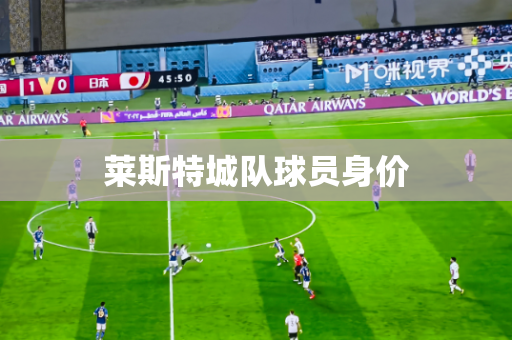 莱斯特城队球员身价 莱斯特城队球员身价