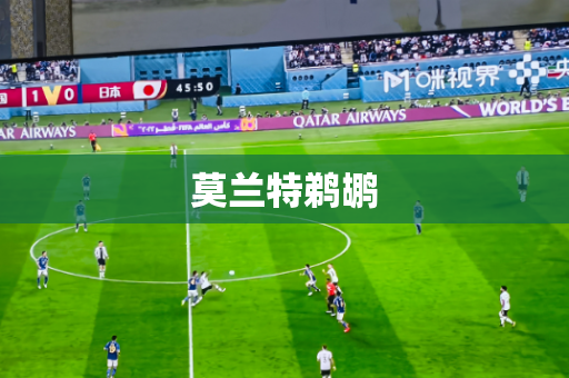 莫兰特鹈鹕 莫兰特鹈鹕