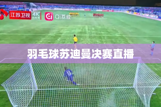 羽毛球苏迪曼决赛直播