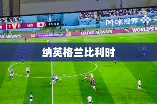 纳英格兰比利时 纳英格兰比利时