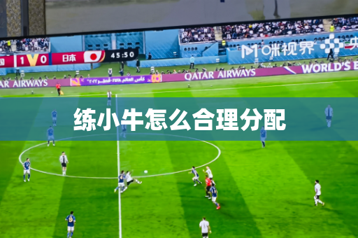 练小牛怎么合理分配