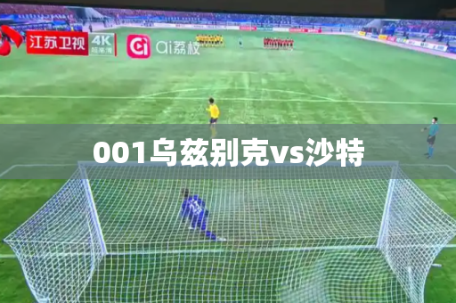 001乌兹别克vs沙特 001乌兹别克vs沙特