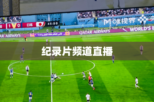 纪录片频道直播