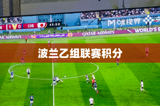 波兰乙组联赛积分