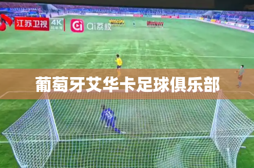 葡萄牙艾华卡足球俱乐部 葡萄牙艾华卡足球俱乐部