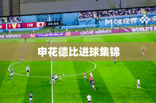 申花德比进球集锦
