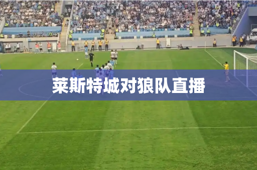 莱斯特城对狼队直播 莱斯特城对狼队直播