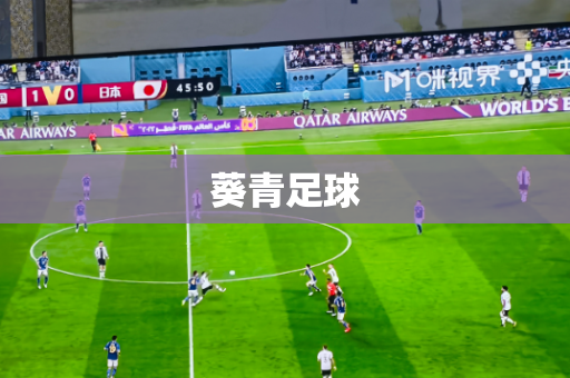 葵青足球
