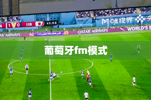 葡萄牙fm模式 葡萄牙fm模式