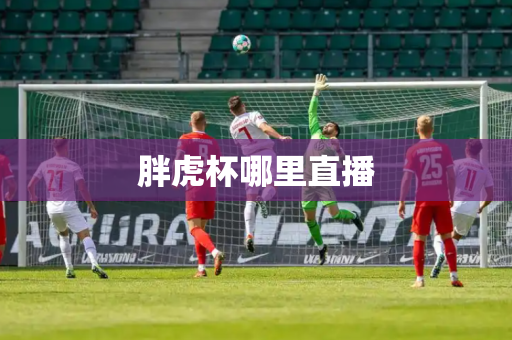 胖虎杯哪里直播 胖虎杯哪里直播