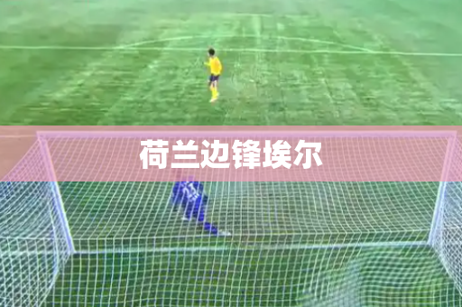 荷兰边锋埃尔 荷兰边锋埃尔