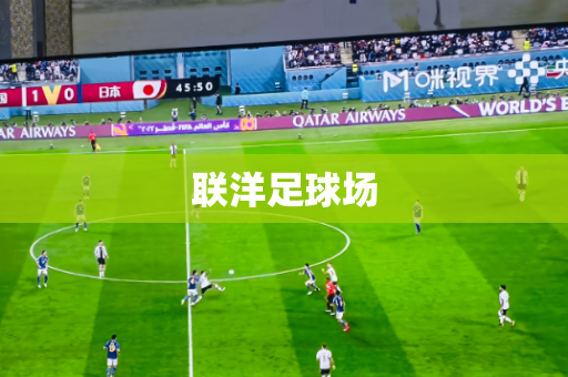 联洋足球场 联洋足球场