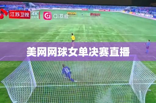 美网网球女单决赛直播