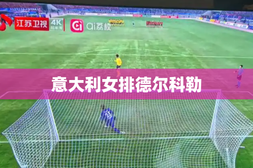 意大利女排德尔科勒 意大利女排德尔科勒