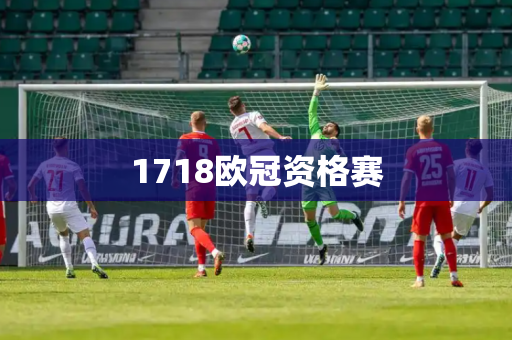 1718欧冠资格赛