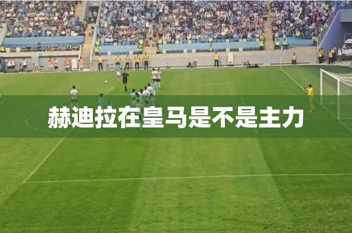 赫迪拉在皇马是不是主力 赫迪拉在皇马是不是主力