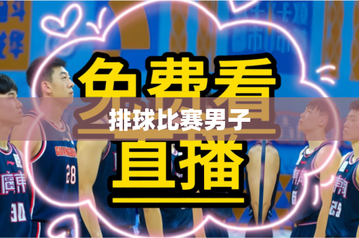 排球比赛男子 排球比赛男子