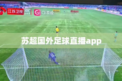 苏超国外足球直播app