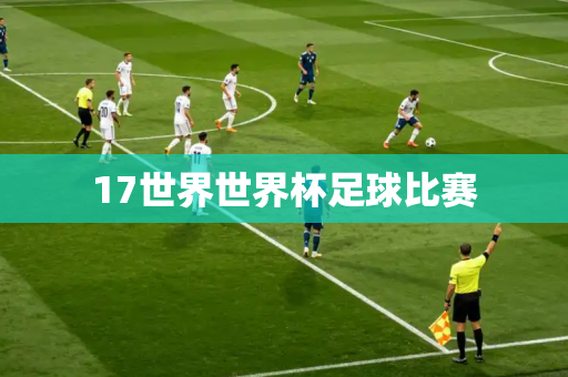 17世界世界杯足球比赛