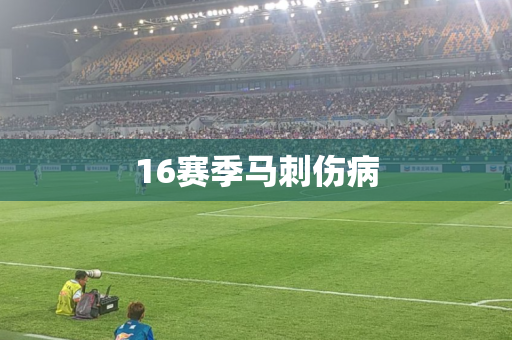 16赛季马刺伤病