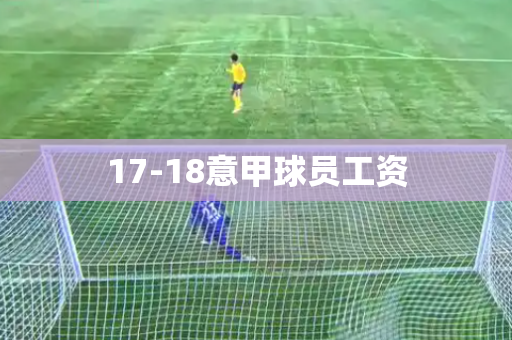 17-18意甲球员工资