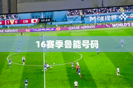 16赛季鲁能号码 16赛季鲁能号码