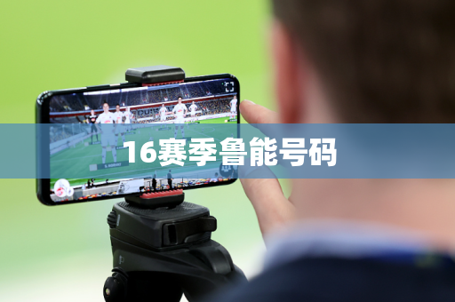 16赛季鲁能号码