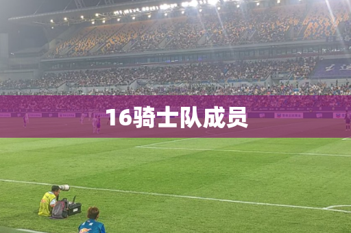 16骑士队成员 16骑士队成员