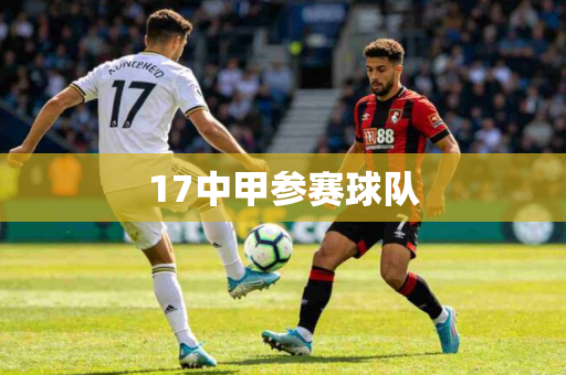 17中甲参赛球队