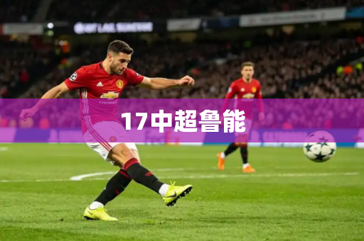 17中超鲁能 17中超鲁能